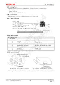 TL3GB-WH1 Datasheet Pagina 14