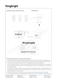 WP113WH/YD數據表 頁面 4