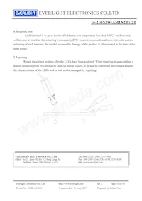 16-216/S3W-AM1N2BY/3T Datasheet Page 10