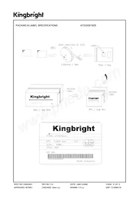 AT2520SY9ZS Datasheet Pagina 6