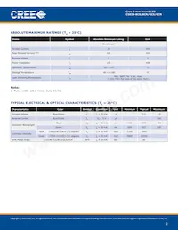 C503B-GCS-CY0A0892 Datasheet Page 2