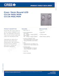 C513A-WSN-CV0Y0152 Datasheet Cover