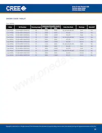 C513A-WSN-CV0Y0152 Datasheet Page 10