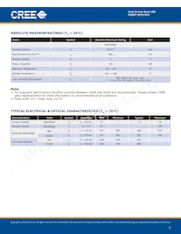 C566T-AFS-CR0T0252 Datasheet Page 2