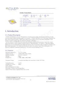 CLU027-0303C1-403H5G3 Datasheet Page 2