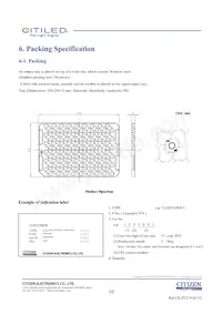 CLU027-0303C1-403H5G3 Datasheet Pagina 10