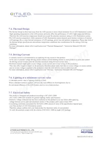 CLU028-1201C4-403H5K2 Datasheet Page 12