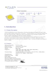 CLU028-1202C4-653M2K1 Datasheet Page 2