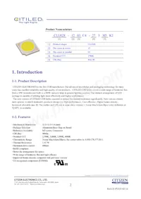 CLU028-1203C4-353H5K2 Datasheet Page 2