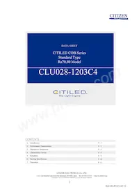 CLU028-1203C4-653M2K1數據表 封面
