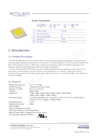 CLU028-1203C4-653M2K1 Datasheet Page 2