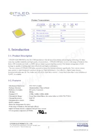 CLU038-1206C4-353H5K2 Datasheet Pagina 2