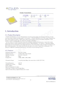 CLU046-1212C1-403H5G3 Datasheet Page 2