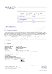 CLU048-1212C4-273H5K2 Datasheet Page 2