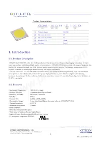 CLU048-1812C4-273H7K4 Datasheet Page 2