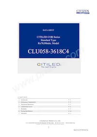 CLU058-3618C4-653M2K1 Datasheet Copertura
