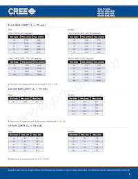 CP41T-RHS-CJ0M0EE4 Datasheet Page 3