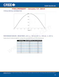 CXA1310-0000-000F0UH450H Datasheet Page 12