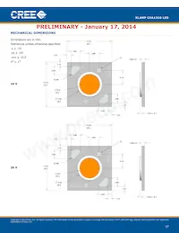 CXA1310-0000-000F0UH450H Datasheet Page 17