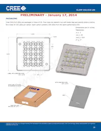 CXA1310-0000-000F0UH450H Datasheet Page 20