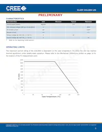 CXA1850-0000-000N00U430F Datasheet Page 2