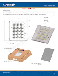 CXA1850-0000-000N00U430F Datasheet Page 19