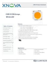 CXM-9-30-80-18-AC00-F2-2 Datasheet Copertura