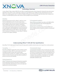 CXM-9-30-80-18-AC00-F2-2 Datasheet Pagina 2