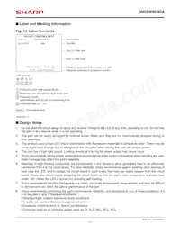 GM5BW96385A Datasheet Pagina 11