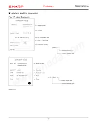 GM5BW97331A Datenblatt Seite 13