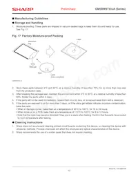 GM5BW97333A Datenblatt Seite 12