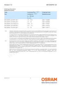 GR DASPA1.23-FSFU-26-1-100-R18 Datenblatt Seite 2