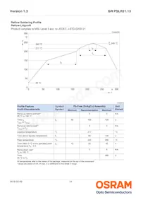 GR PSLR31.13-GRGT-R1R2-1 Datasheet Page 14