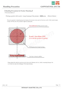 GSPW1651NSE-20Y-TR Datenblatt Seite 13