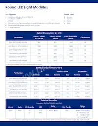 JDHT-RMC07-XTE-WW-094-1數據表 頁面 2