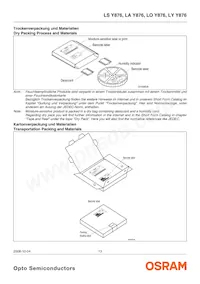 LA Y876-Q2S1-1-Z Datasheet Page 13