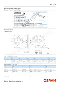 LG Y870-K2M1-1 Datasheet Pagina 12