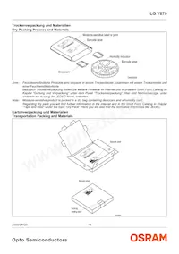 LG Y870-K2M1-1 Datasheet Page 13