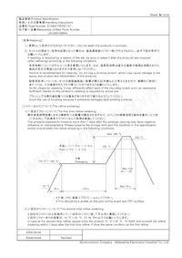 LNJ080V6BRA Datenblatt Seite 12