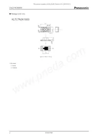 LNJ216C8ARA Datasheet Page 2