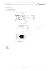 LNJ216C8ARU Datasheet Pagina 2