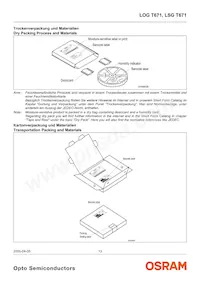 LOG T671-JL-1-0+KM-1-0-10-R18-Z Datasheet Page 13