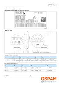 LRTBG6SG-U4AA-1+V2A6-25+S1T4-35-20-S-LM Datasheet Pagina 19