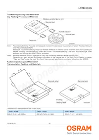 LRTBG6SG-U4AA-1+V2A6-25+S1T4-35-20-S-LM Datasheet Pagina 20