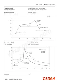 LT E67C-T2V1-35 Datasheet Page 13