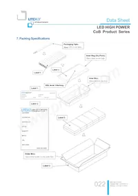 LTPL-M02530ZS50-S1 Datasheet Page 22