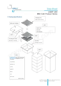 LTPL-M04530QS30-T0 Datasheet Page 17