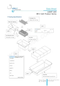 LTPL-M13710ZS40-T2 Datasheet Page 21