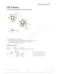 LZC-C0CW00-0056 Datasheet Page 16