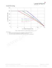 LZP-W0MD00-0000 Datasheet Pagina 14